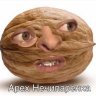 Klop