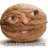 Klop